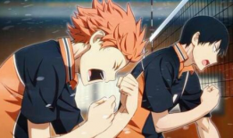 和排球少年类似的动漫,梦想之翼翱翔