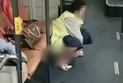 屁眼视频,网络奇观背后的真相与反思